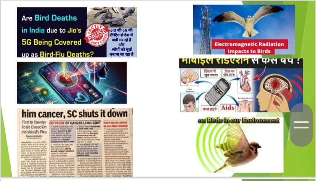 photo 2025 11 21 16 42 13